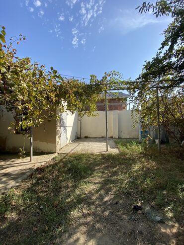 Bağ evlərinin satışı: Bakı, Novxanı, 100 kv. m, 3 otaqlı, Hovuzsuz, Qaz, İşıq, Su — 8