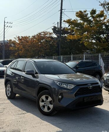 не знаю от какой машины: Toyota RAV4: 2020 г., Гибрид, Кроссовер