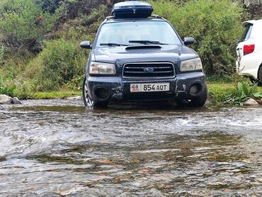 матиз автомат продаю: Subaru Forester: 2003 г., 2 л, Автомат, Газ, Внедорожник