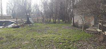 полки в аренду: Жилой дом с приусадебным участком в сельской местности. - Одноэтажный — 4