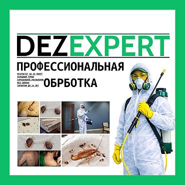 bee: Дезинфекция, дезинсекция, | Клопы, Блохи, Тараканы, | Транспорт, Офисы, Квартиры — 1