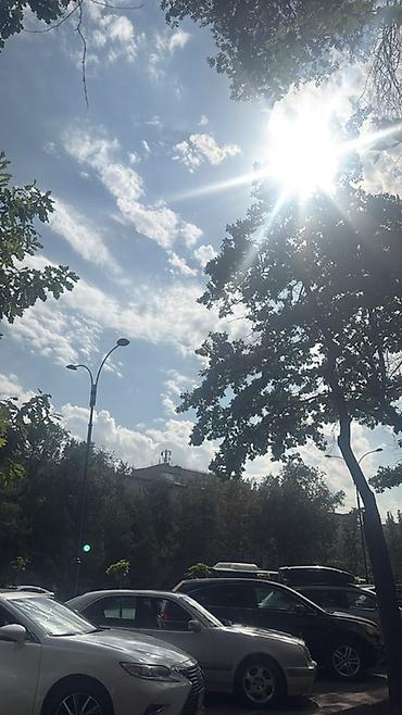 жаны уйлор: Продаётся дом с участком. - Одноэтажный жилой дом с двускатной — 3