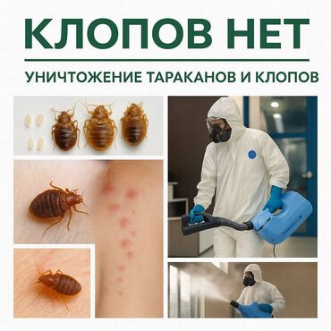 обработка помещений: Дезинфекция, дезинсекция, | Клопы, | Транспорт, Офисы, Квартиры
