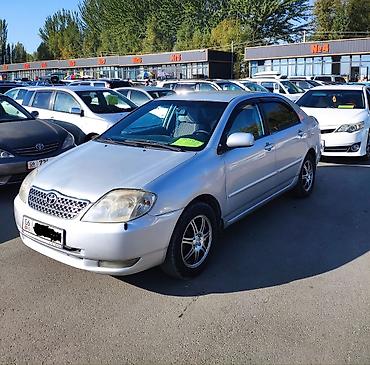 Toyota: Toyota Corolla: 2002 г., 1.6 л, Кол менен иштөөчү, Бензин, Седан — 7
