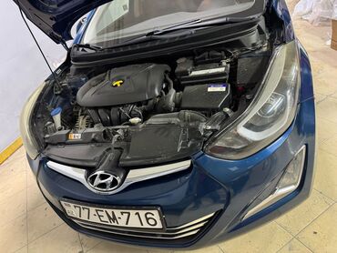 Digər avtomobil ehtiyat hissələri: Mavi rəngdə olan Hyundai Elantra avtomobili. Avtomobilin kapotu