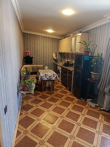 Qonaq otağı dəstləri: -şabranda gülemlide 9 sotda heyetde 2 ev biri 3 otaqlı super remont -da lalafo.az — 23 Qonaq otağı dəstləri: -şabranda gülemlide 9 sotda heyetde 2 ev biri 3 otaqlı super remont — 23
