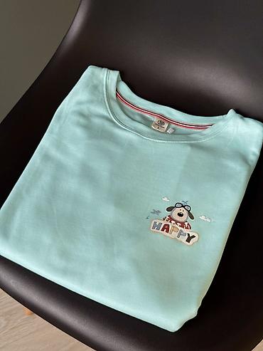 Толстовки, худи: Свитшот, С надписью, 2XL — 10