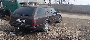 Mercedes-Benz: Mercedes-Benz W124: 1992 г., 2.9 л, Механика, Дизель, Универсал — 1