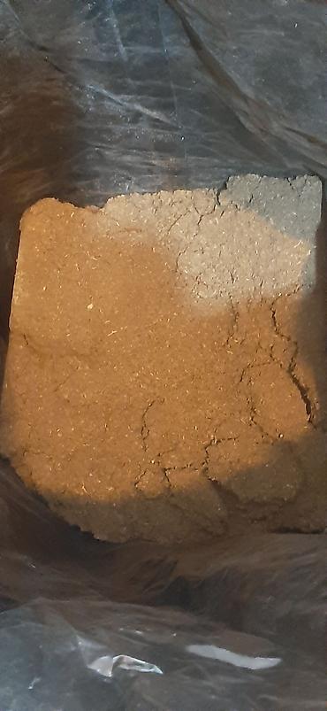 Пион: Пионы климатис, глициния, чёрную смородину, магонию, фундук — 17