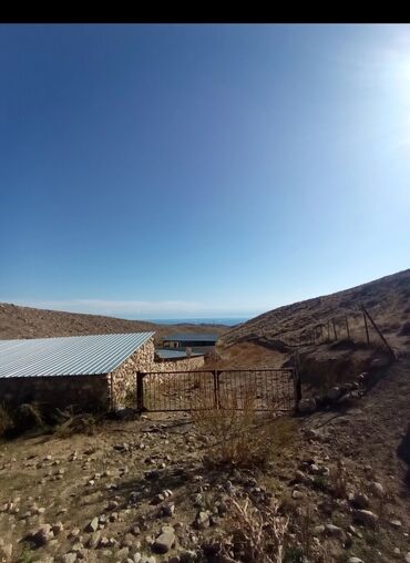 Другие товары для дома и сада: Продается действующий бизнес кашар вместе с садом для разведения скота — 3