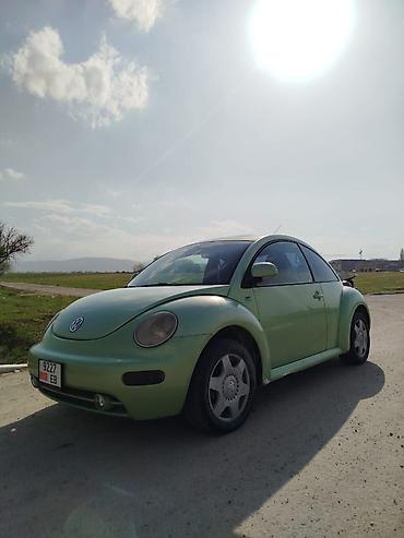 жук жабан: Volkswagen Bettle: 2020 г., 2 л, Автомат, Бензин, Купе — 6