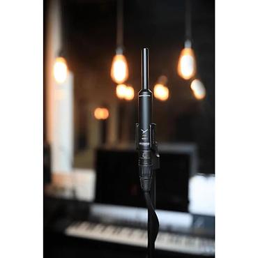 audio sistem: Yeni Simli Mikrofon Beyerdynamic, Ünvandan götürmə — 4