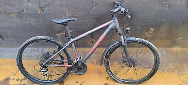 ск пионер: Raleigh Daymax – горный велосипед 29" - Рама: алюминиевая, геометрия — 2