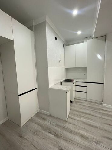 квартира абая: 2 комнаты, 65 м², Элитка, 11 этаж, Евроремонт