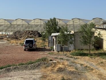 Torpaq sahələrinin satışı: 30 sot, Kənd təsərrüfatı -da lalafo.az — 8 Torpaq sahələrinin satışı: 30 sot, Kənd təsərrüfatı — 8