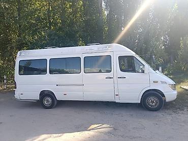 Mercedes-Benz Спринтер: 2002 г., 2.2 л, Механика, Дизель, Бус — 1