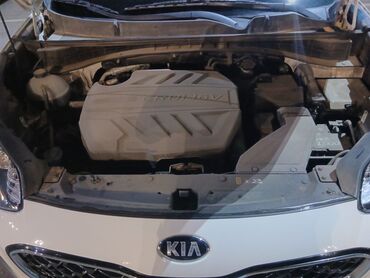 Kia: Kia Sportage: 2018 г., 2 л, Автомат, Дизель, Кроссовер — 12