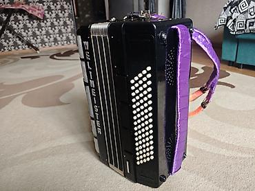 Аккордеоны: Аккордеон Weltmeister (Германия), классическая черно-белая модель — 3