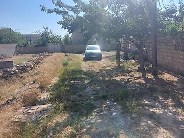 kiraye ev bine: Tikinti, Mülkiyyətçi, Kupça (Çıxarış) — 6