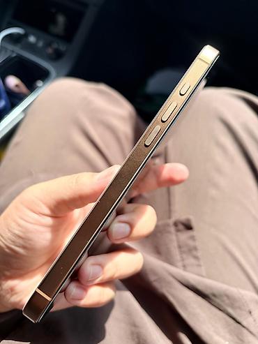 Мобильные телефоны и аксессуары: IPhone 16 Pro Max, Б/у, 256 ГБ, Золотой, Зарядное устройство, Защитное стекло, Чехол, 91 % — 4