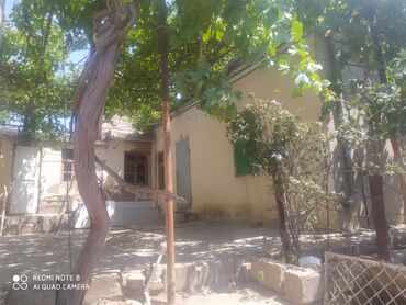 Otaqların uzunmüddətli kirayəsi: Təcili olaraq Bineqedi rayon 1-ci meden korpus 47 ev 286 torpaq — 12