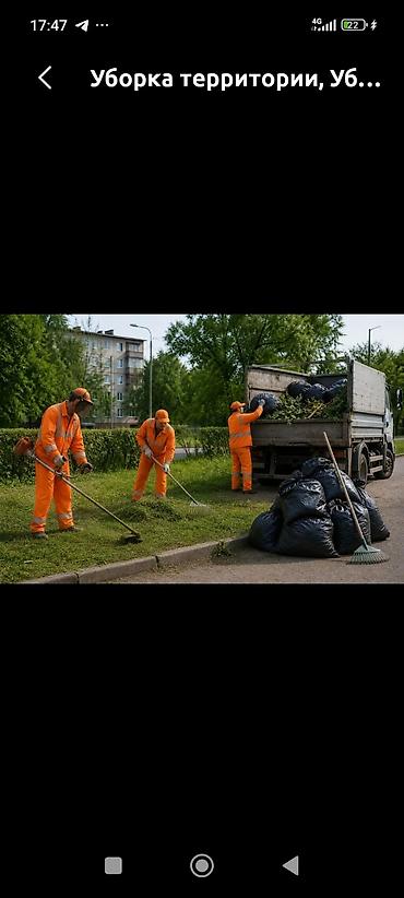 уборка теретории: Уборка территории, Уборка двора и сада — 1