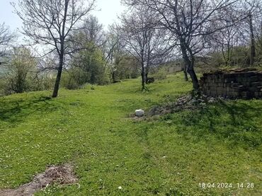 binə mərkəz: 8 sot, Tikinti, Kupça (Çıxarış)