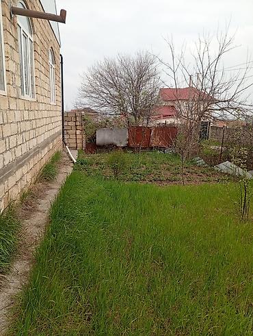 ev alqi satqisi 2020: 5 otaqlı, 180 kv. m, Kredit yoxdur, Yeni təmirli — 9