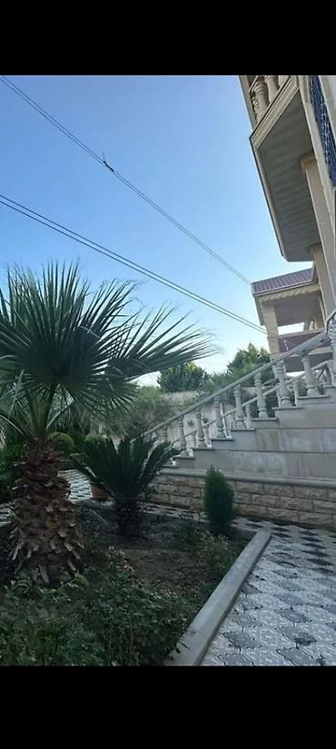 Həyət evləri və villalar: Bakıxanov qəs. 8 otaq, 550 kv. m, Kredit yoxdur, Orta təmir — 2