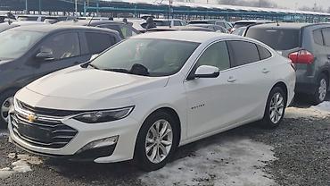 Chevrolet: Chevrolet Malibu: 2019 г., 1.3 л, Автомат, Бензин, Седан at lalafo.kg — 1 Chevrolet: Chevrolet Malibu: 2019 г., 1.3 л, Автомат, Бензин, Седан — 1