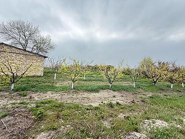 Torpaq sahələrinin satışı: 3000 sot — 22