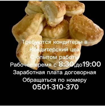 junior frontend разработчик вакансии без опыта: Работа