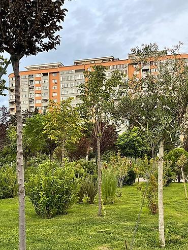 gence prospekti evler: Kirayə mənzil — 20 Yanvar 📍 20 Yanvar, Meşə Parkı ərazisi 🏢 16 — 3