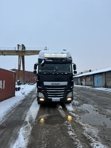 Тягачи: Тягач, DAF, 2018 г., Шторный — 1