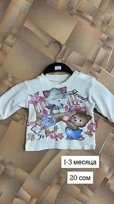 Топы и рубашки: Рубашка — 3