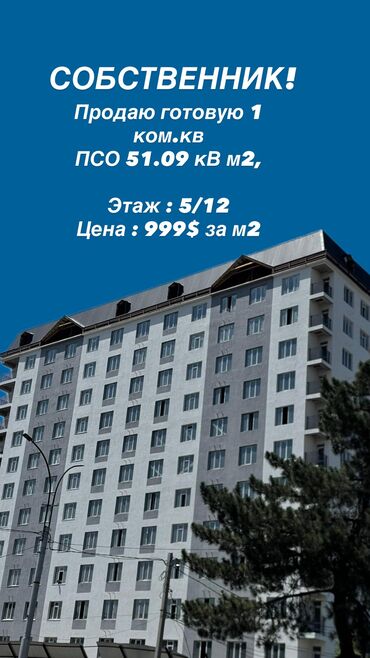 срочно продаётся 1 комнатная квартира в районе шлагбаум по улице кенсуйская 17 пересекает интергельпо: 1 комната, 51 м², Элитка, 5 этаж, ПСО (под самоотделку)