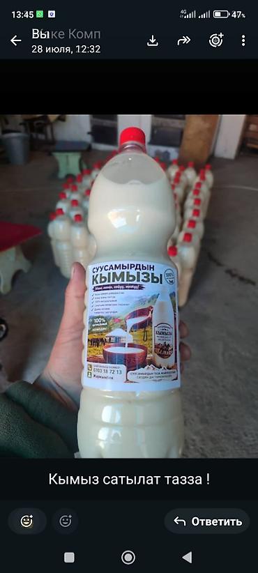 кобылы: Кымыз «Сусамырдын кымызЫ» - Натуральный традиционный напиток из — 1
