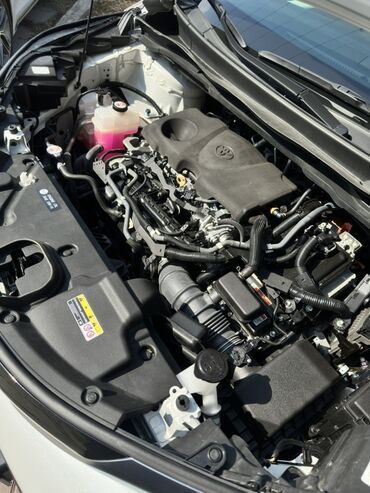 Toyota: Toyota Sienna: 2021 г., 2.5 л, Автомат, Гибрид, Минивэн — 31