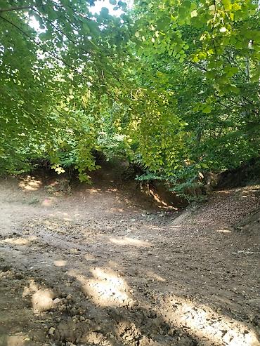 Torpaq sahələrinin satışı: 92 sot, Biznes üçün, Mülkiyyətçi, Kupça (Çıxarış), Bələdiyyə, Müqavilə — 20