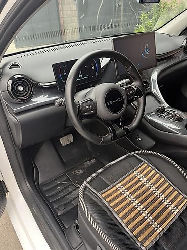 решетки для: BYD E2: 2023 г., Автомат, Электромобиль, Кроссовер — 7