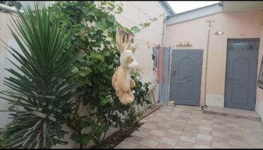 Uzunmüddətli kirayə mənzillər: 3 otaqlı mənzil – işıqlı və səliqəli planlama • Otaqlar: 3 geniş otaq — 23