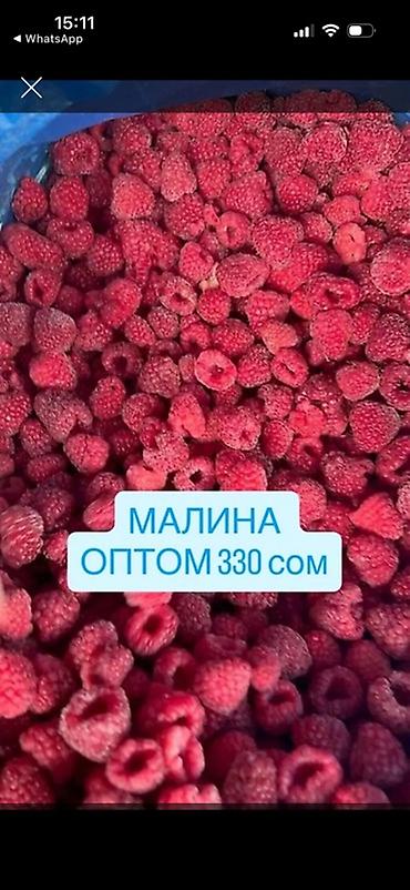 Малина: Малина оптом — 330 сом. Сорт - Геракл Средняя - Цельная ягода — 1