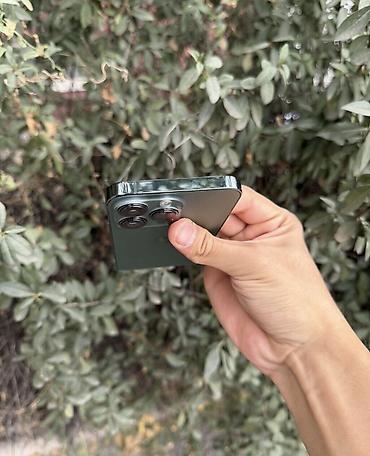 Уюлдук телефондор жана аксессуарлар: IPhone 13 Pro, Колдонулган, 256 ГБ, Жашыл, 88 % — 6