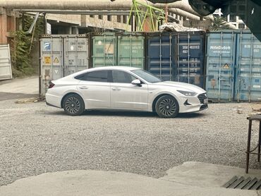 диск на соната: Hyundai Sonata: 2019 г., Автомат, Бензин, Седан