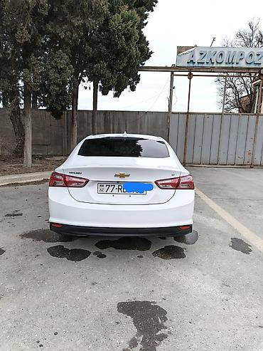 Chevrolet: Chevrolet Malibu sedan iL 2021 - Kuzov: ağ rəng, 4 qapı, aerodinamik — 5