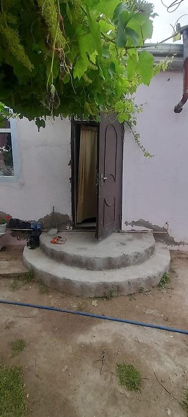 bine sovxoz: Buzovna qəsəbəsində həyət evi satılır. Torpağın və evin kupçası var — 10