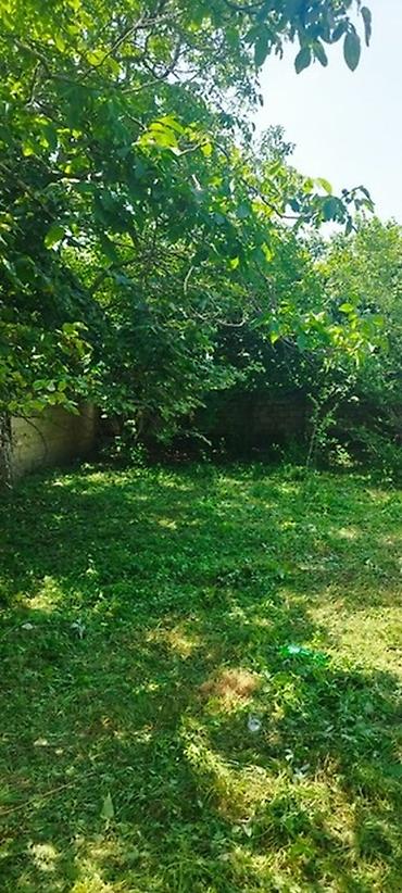 Torpaq sahələrinin satışı: Tikinti, Mülkiyyətçi, Kupça (Çıxarış) -da lalafo.az — 40 Torpaq sahələrinin satışı: Tikinti, Mülkiyyətçi, Kupça (Çıxarış) — 40