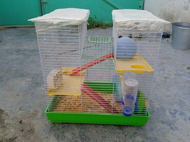 hamster yuvası: Xaminyaq yuvasid herbir werayiti var