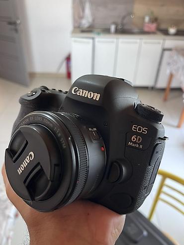 Canon EOS 6D Mark II + Canon EF 50mm f/1.8 STM - Tam kadr