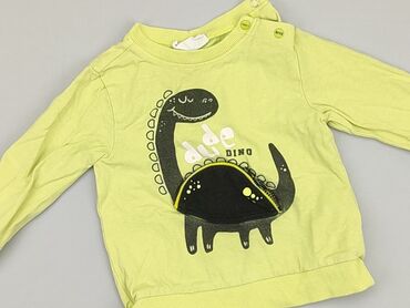 Sweatshirts: Sweatshirt, Coccodrillo, 9-12 months, condition - Good